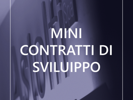 MINI CONTRATTI DI SVILUPPO