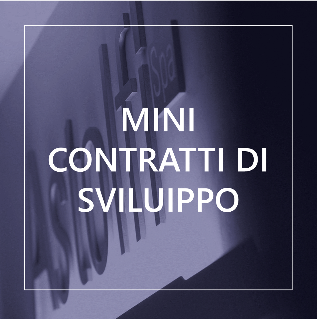 MINI CONTRATTI DI SVILUPPO